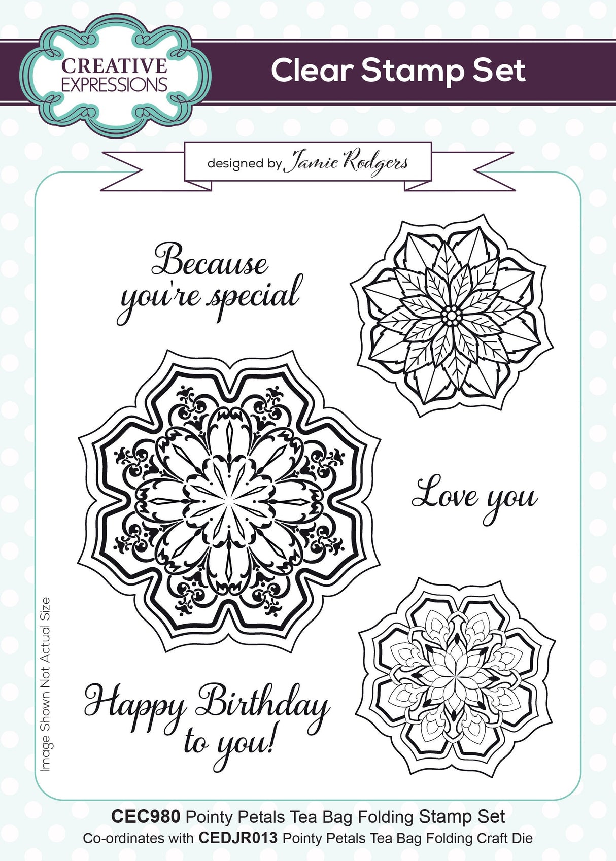 Creative Expressions Jamie Rodgers Pointy Petals Tea Bag Folding 6 in x 8 in Stamp Set