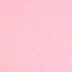 Colorplan 8.5X11 Cardstock 100#CV - 10 Sheets
