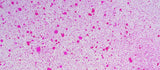 Cosmic Shimmer Airless Mister