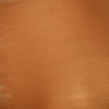 Cosmic Shimmer Gilded Touch 18ml