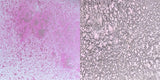 Cosmic Shimmer Pearlescent Airless Misters 50ml
