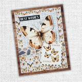 Lakeside Memories Papercuts Cardmaking Kit 34824