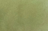 Cosmic Shimmer Sam Poole Botanical Stains 60ml
