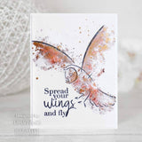 Creative Expressions Bonnita Moaby Stay Wild A5 Clear Stamp Set