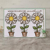 Creative Expressions Sam Poole Daisy Bloom 6 in x 4 in Clear Stamp Set