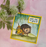 Creative Expressions Designer Boutique Over The Hedge 6 in x 4 in Stamp Set