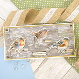 Delightful Die-Cuts - Beautiful Birds