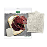 Dragon Skin Silicone Mould