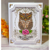 Creative Expressions Designer Boutique Collection Owl Be There For Twit Twoo A6 Clear Stamp Set