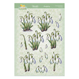 In Full Bloom - Floral Delights Deco-Large Set - Stunning Snowdrops