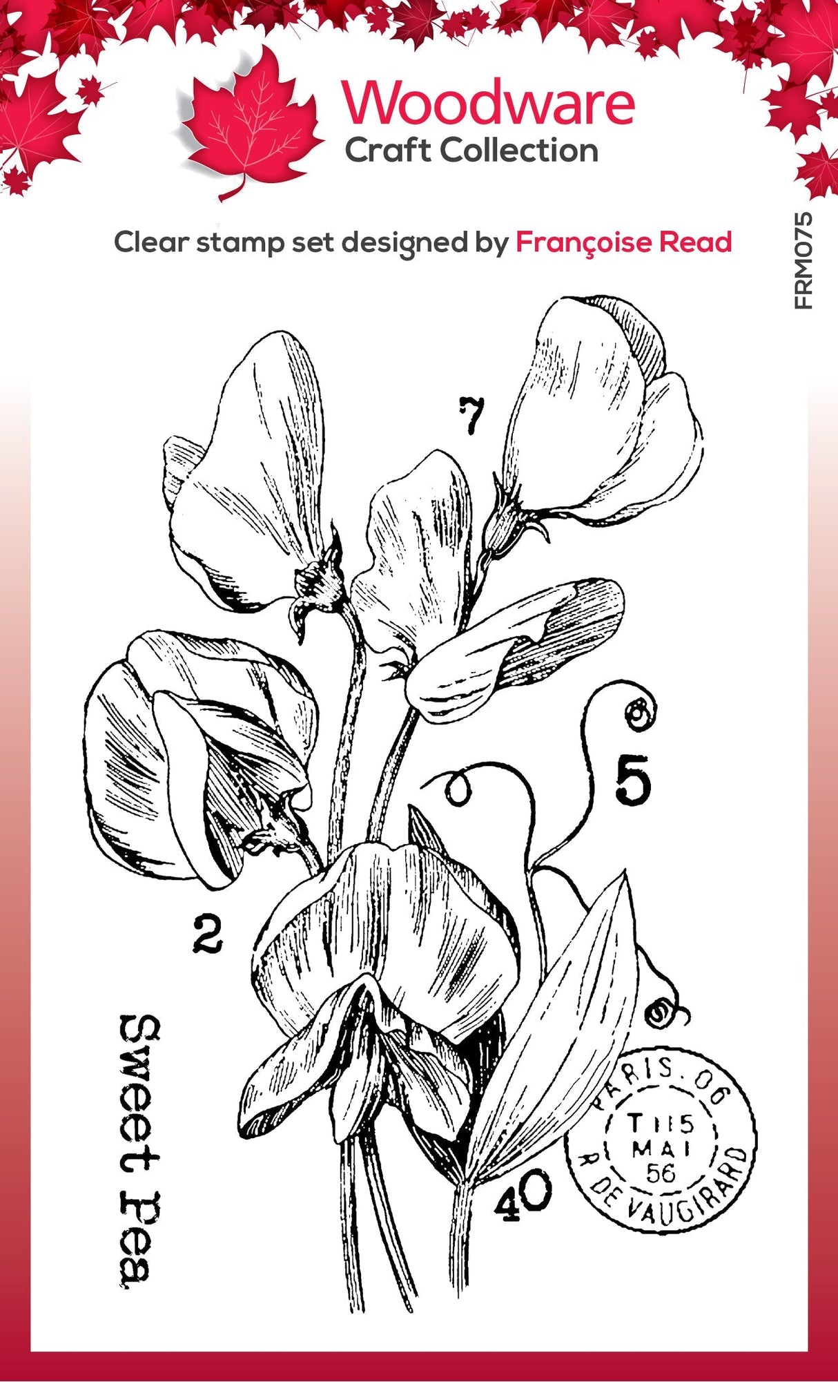 Woodware Clear Singles Sweet Pea 3 in x 4 in Stamp Set