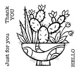 Woodware Clear Singles Succulent Display 4 in x 4 in Stamp