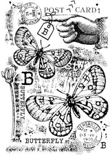 Woodware Clear Singles B is For Butterfly 4 in x 6 in Stamp