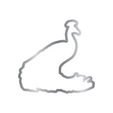 Graceful Plumes Stamp & Die - Proud Peacock 