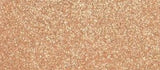 Glitter Ritz Micro Fine Glitter
