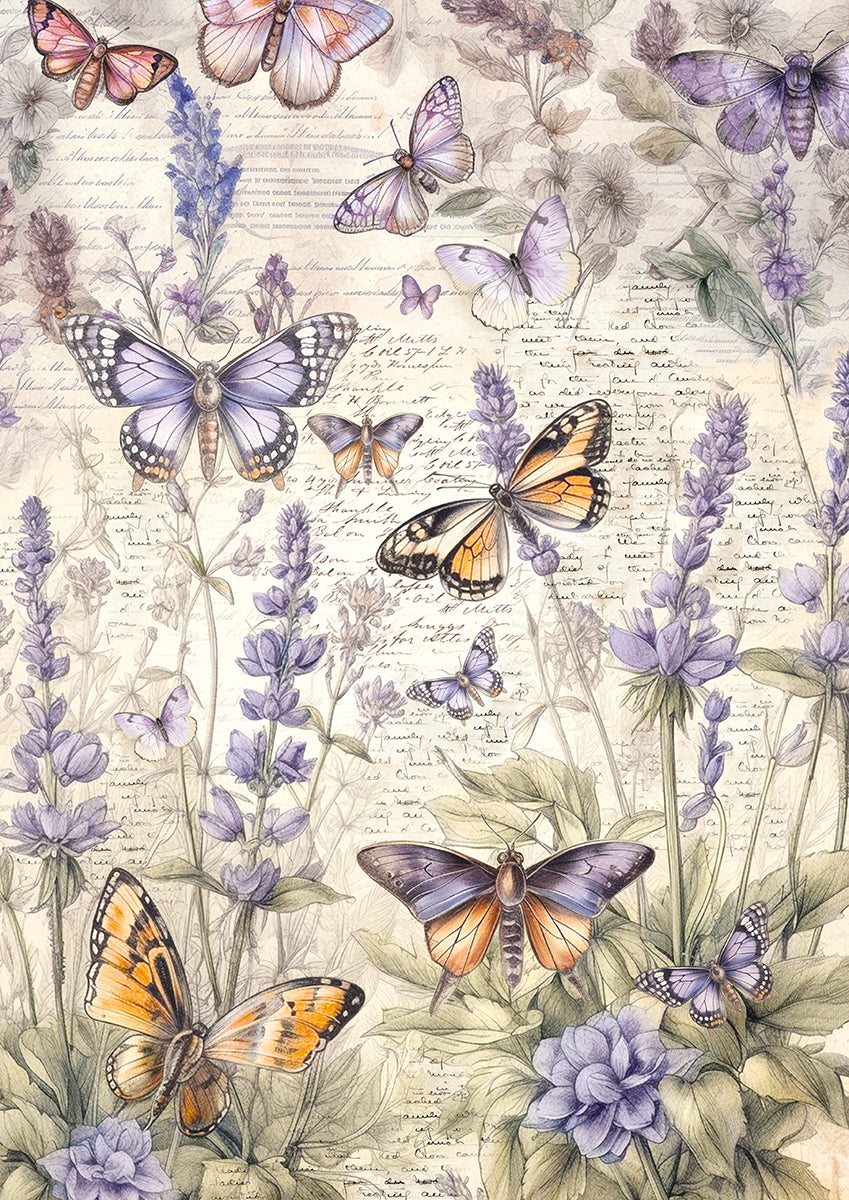 Tissue Paper A4 6/Pkg Whimsical Butterflies