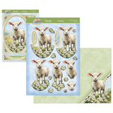 Spring is Here Deco-Large Set - A Boo-rilliant Birthday