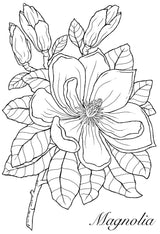 Woodware Clear Singles Magnolia 4 in x 6 in Stamp