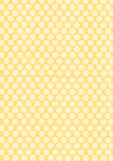 KJ Paper Pad Ice Cream Pop Basics By Karin Joan 148x210mm nr.08