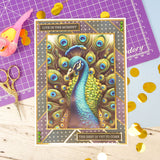 The Little Book of Peacocks