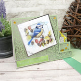 Birds in Focus Pocket Pad