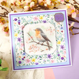 Birds in Focus Pocket Pad