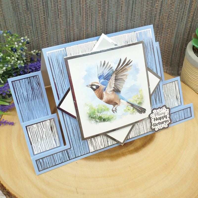 Birds in Focus Pocket Pad