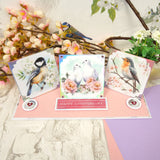 Birds in Focus Pocket Pad