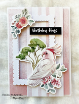 Outback Friends Die Cuts 31160