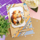 Quick Cards - Perfect Pets
