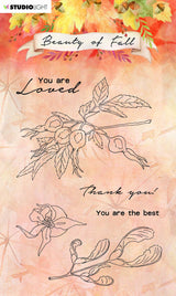 SL Clear Stamp Rose Hips Beauty Of Fall 105x148mm nr.64