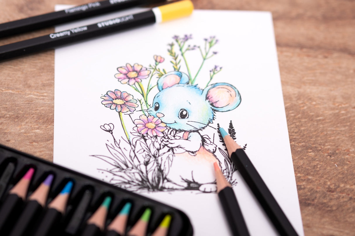 SL Pencils 12 Colors In Pastel Shades Essentials 12 Pieces