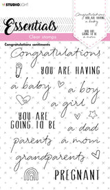 SL Clear Stamp Congratulations Sentiments Essentials 105x148x3mm 1 PC nr.175