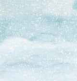 SL  Scrap  200gr Ultimate Scrap Winter Collection 304.8x304.8x0.2mm 1 sh nr.91