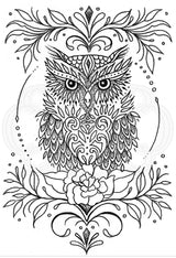 Creative Expressions Designer Boutique Collection Owl Be There For Twit Twoo A6 Clear Stamp Set