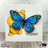 Visible Image Butterfly Effect - A5 Stamp Set