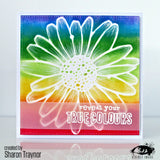 Visible Image Daisy Daisy Stencil - 6 x 6