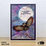 Visible Image Night Owl - A6 Stamp Set