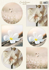 Marianne Design A4 Cutting Sheet - Condolence - Orchid