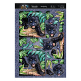 Into The Wild Deco-Large Set - Have A Wild Day