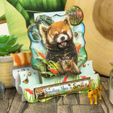 Into The Wild Deco-Large Set - Sending Smiles