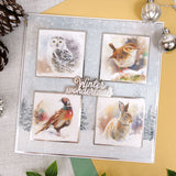 Winter Woodland Printed Parchment