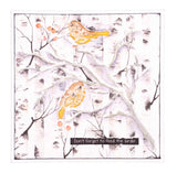 SL Clear Stamp Bird Watching Winter Garden 105x148x3mm 1 PC nr. 161