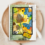 Woodware Clear Singles Discovery 4 in x 6 in Stamp Set