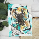 Woodware Clear Singles Stag Beetle 4 in x 6 in Stamp