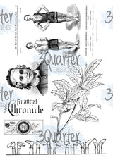 Classically Vintage Vellum
