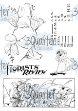 Classically Vintage Vellum