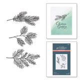 Evergreen Branches Press Plate from the BetterPress Christmas Collection