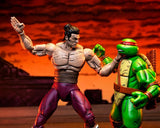 Teenage Mutant Ninja Turtles Worms of Madness Shredder (Mirage Comics) 2 pack