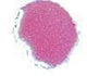 Cosmic Shimmer Embossing Powder